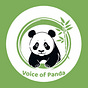 Voice of Panda 熊猫之声's avatar