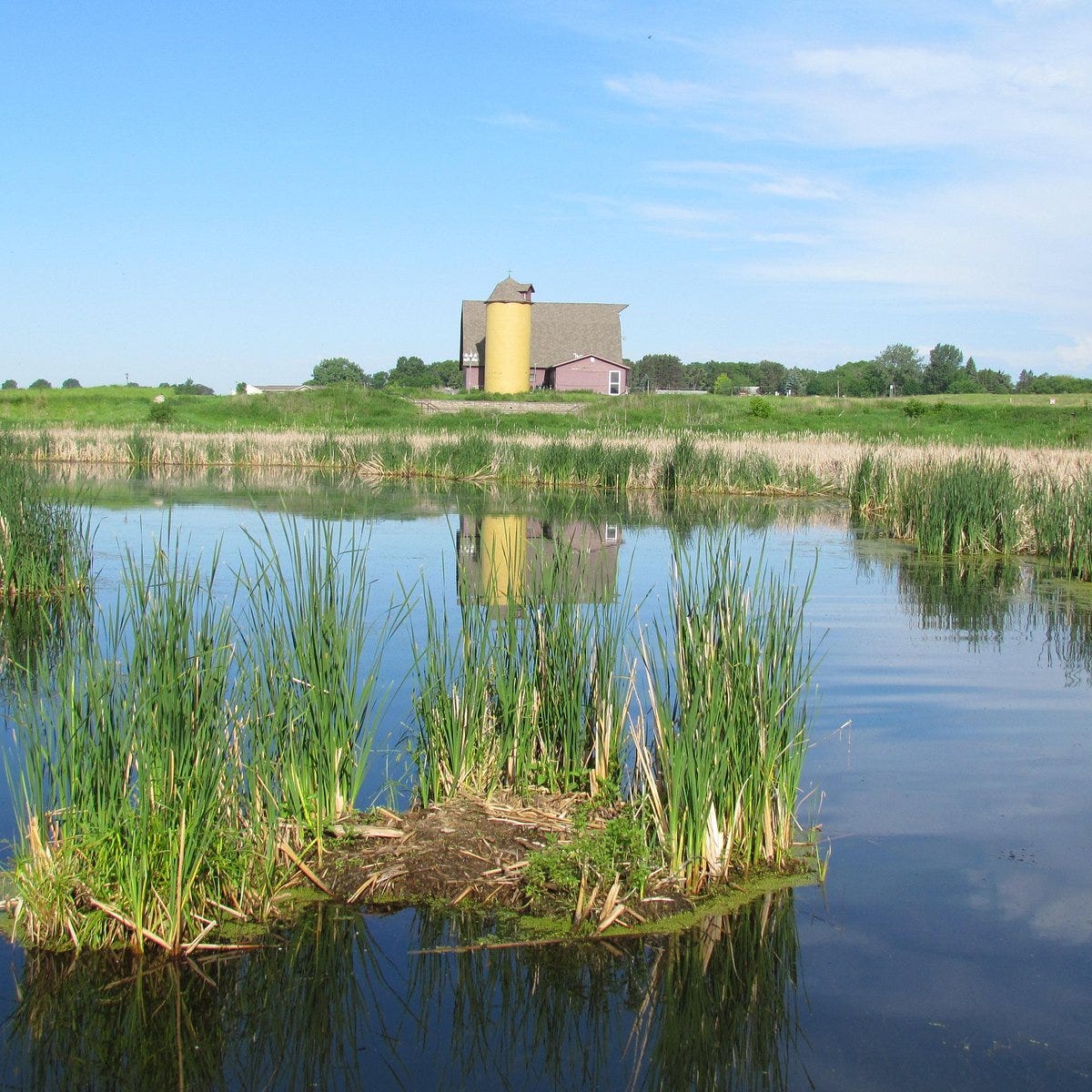 Prairie Wetlands Learning Center - All You SHOULD Know Before Going 2026 (with Reviews) Prairie Wetlands Learning Center - All You SHOULD Know Before Going 2026 (with Reviews)
