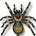 The Spider's avatar