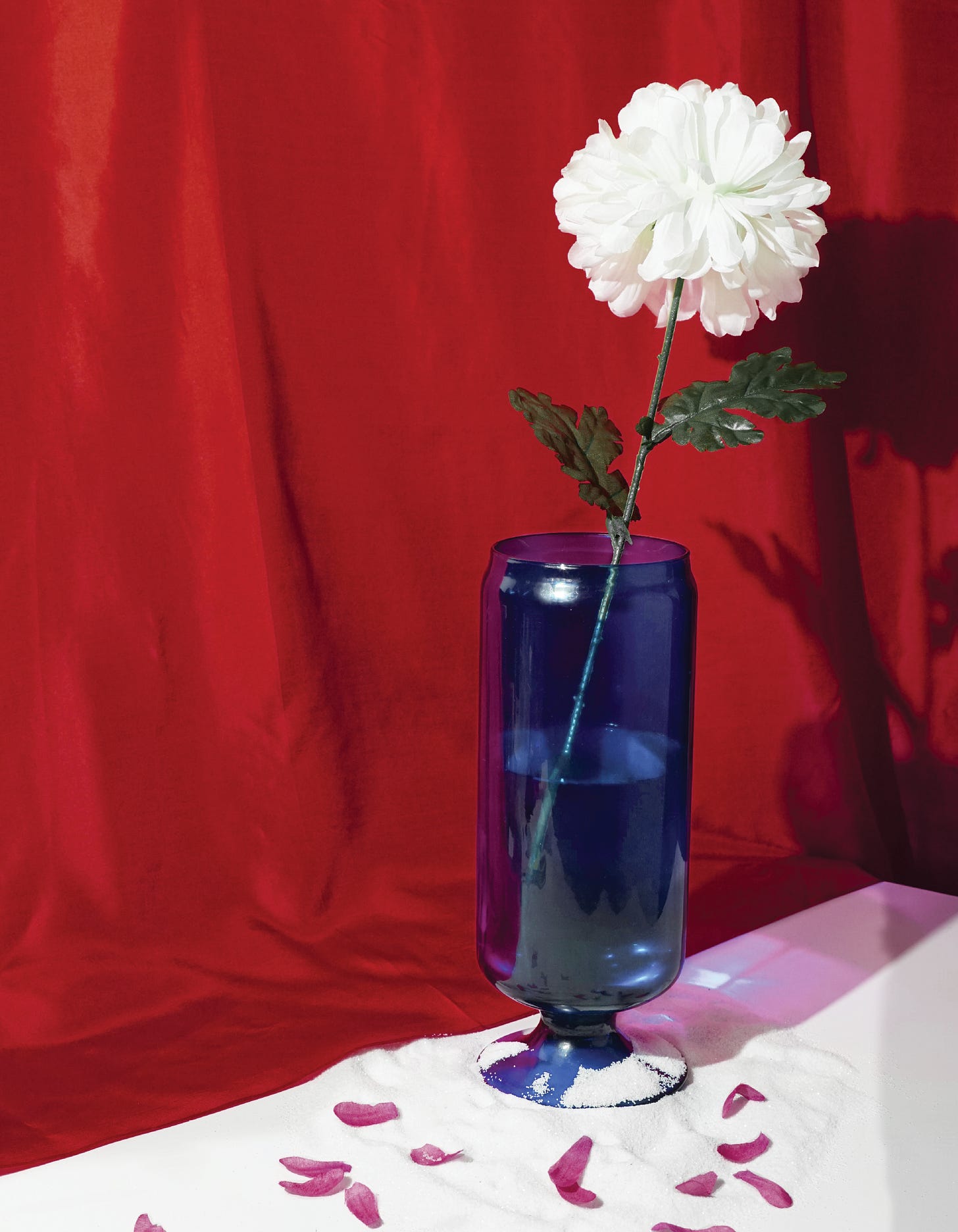 White flower in a tall blue vase, set against a red fabric backdrop with sand and scattered pink petals.