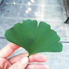 Ask the Herbalist: My Time Management Tips, Herbs for Focus & Brain Health, and the Priority of Purpose
