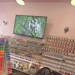 atopy’s Newsletter