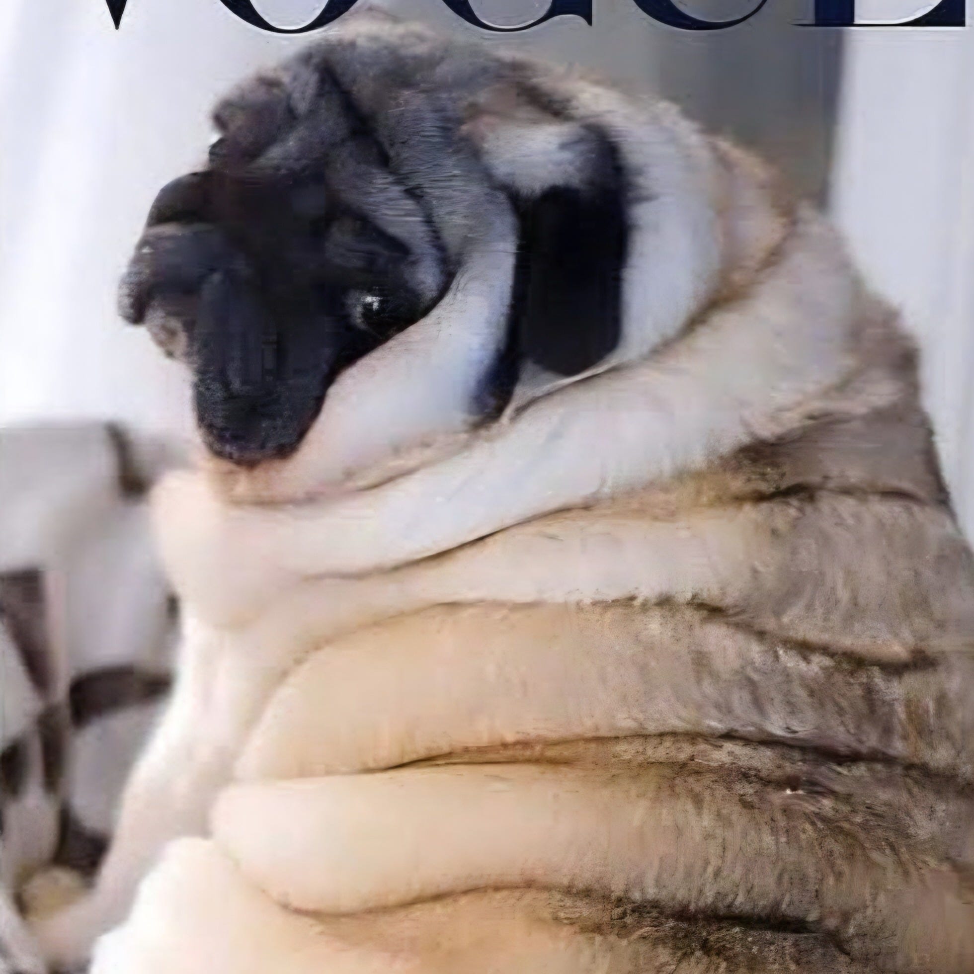 The beginning of knowledge (Proverbs 1:7)