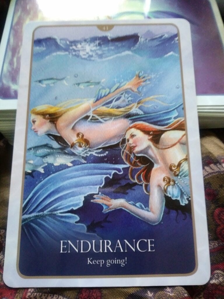 A Message from the Universe - Endurance A Message from the Universe - Endurance