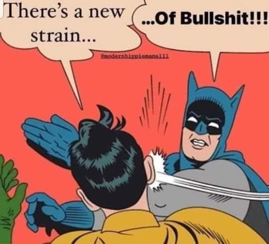 May be an image of text