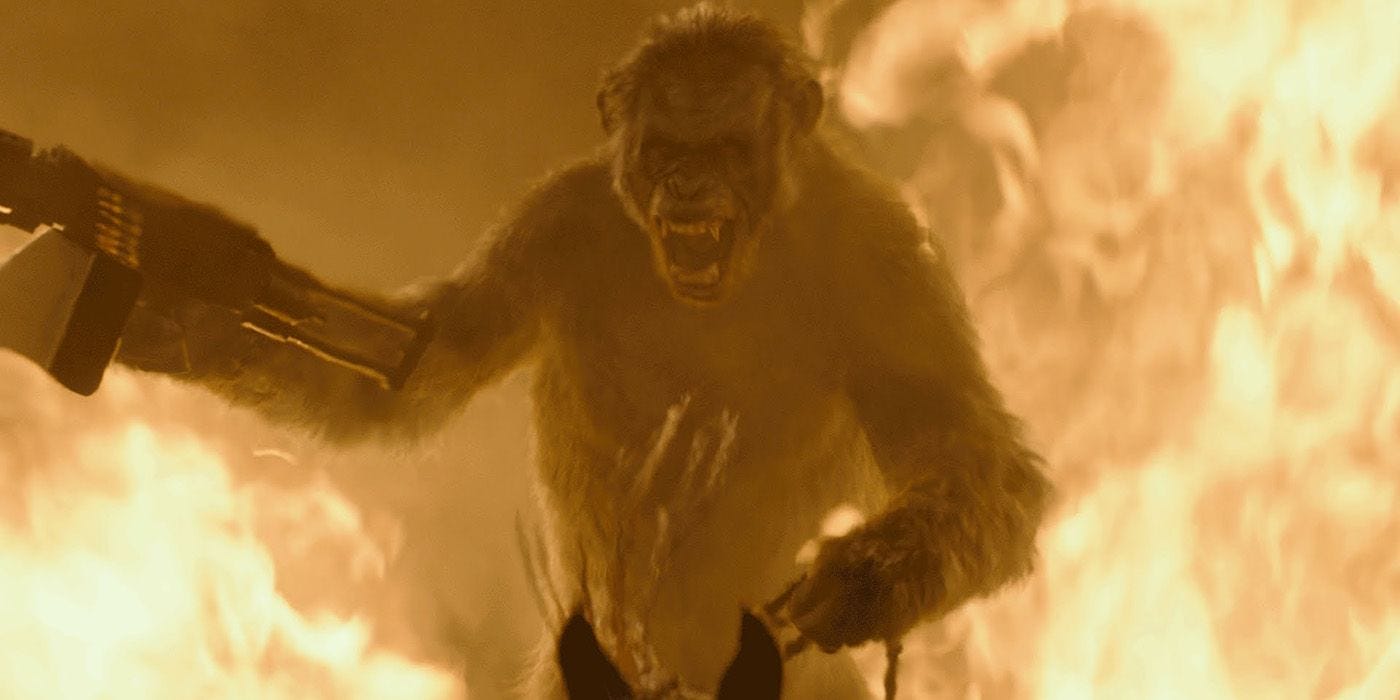 Koba Is Not The Villain Of Dawn Of The Planet Of The Apes