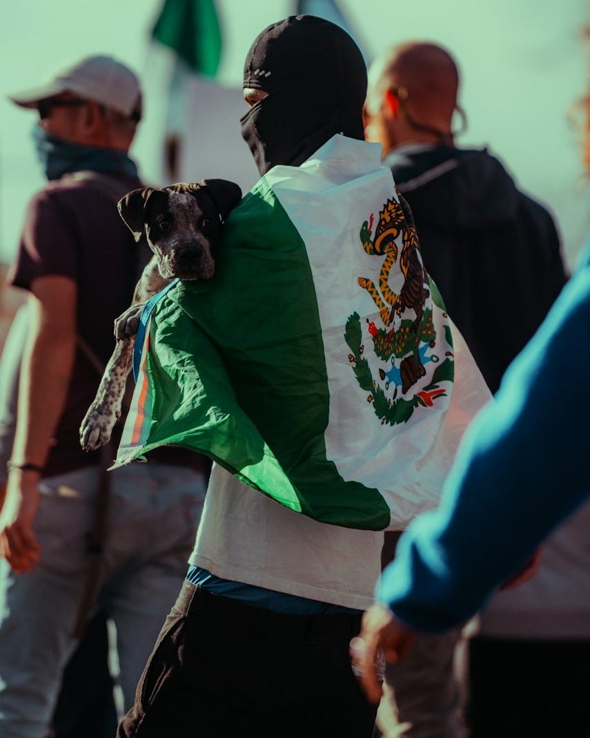 A man carries a dog wrapped in a mexican flag. A man carries a dog wrapped in a mexican flag.