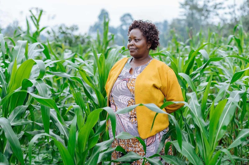 The 5 most popular stories on Africa Private Equity News the past week The 5 most popular stories on Africa Private Equity News the past week