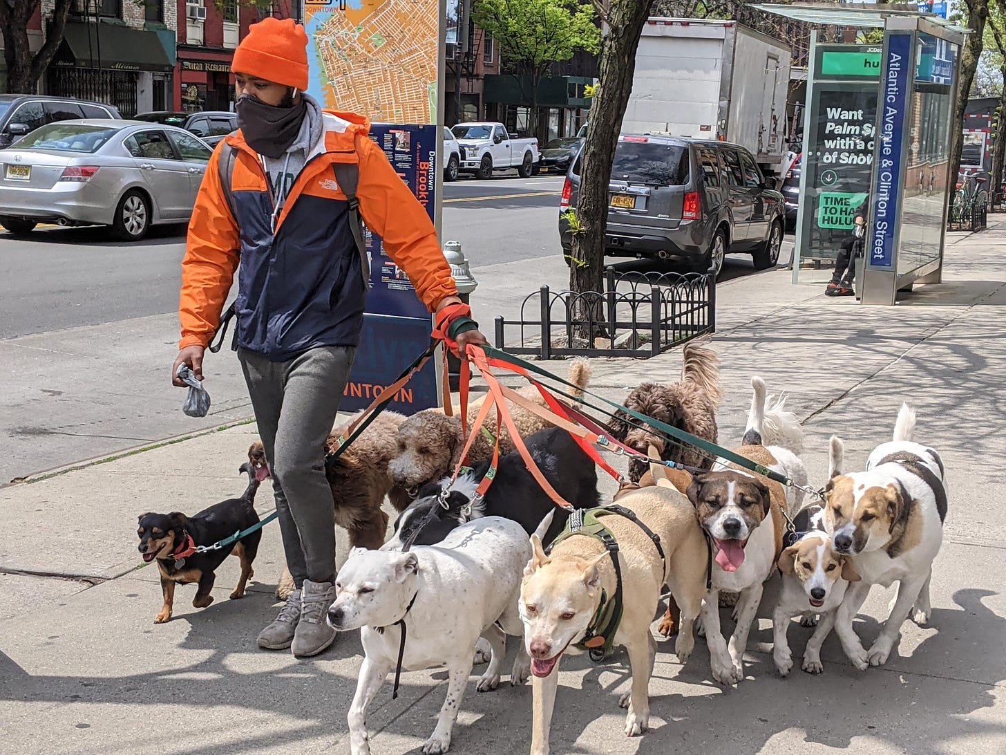 Dog walker extrordinaire on Atlantic ave today. : r/nyc