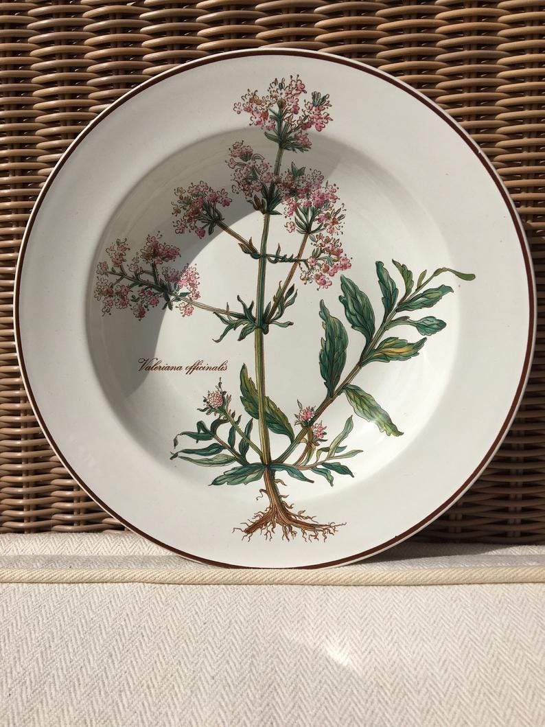 Villeroy & Boch Botanica deep plate for soup or pasta plates image 2 Villeroy & Boch Botanica deep plate for soup or pasta plates image 2