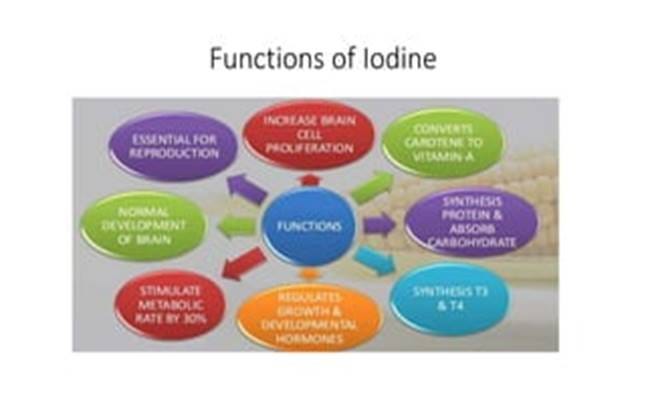 Iodine (I) - Definition, Preparation, Properties, Uses, Compounds ... Iodine (I) - Definition, Preparation, Properties, Uses, Compounds ...