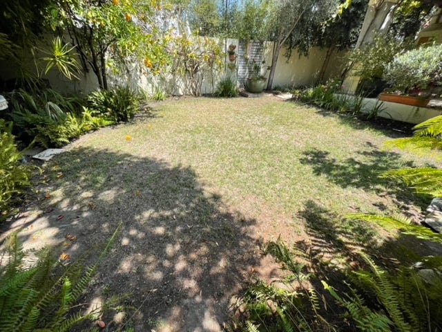 Backyard project
