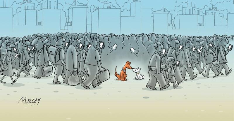 Cartoon by Muammer Olcay