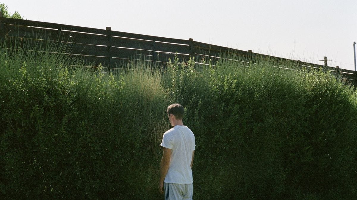Dogtooth: The Greek Weird Wave – Cineccentric