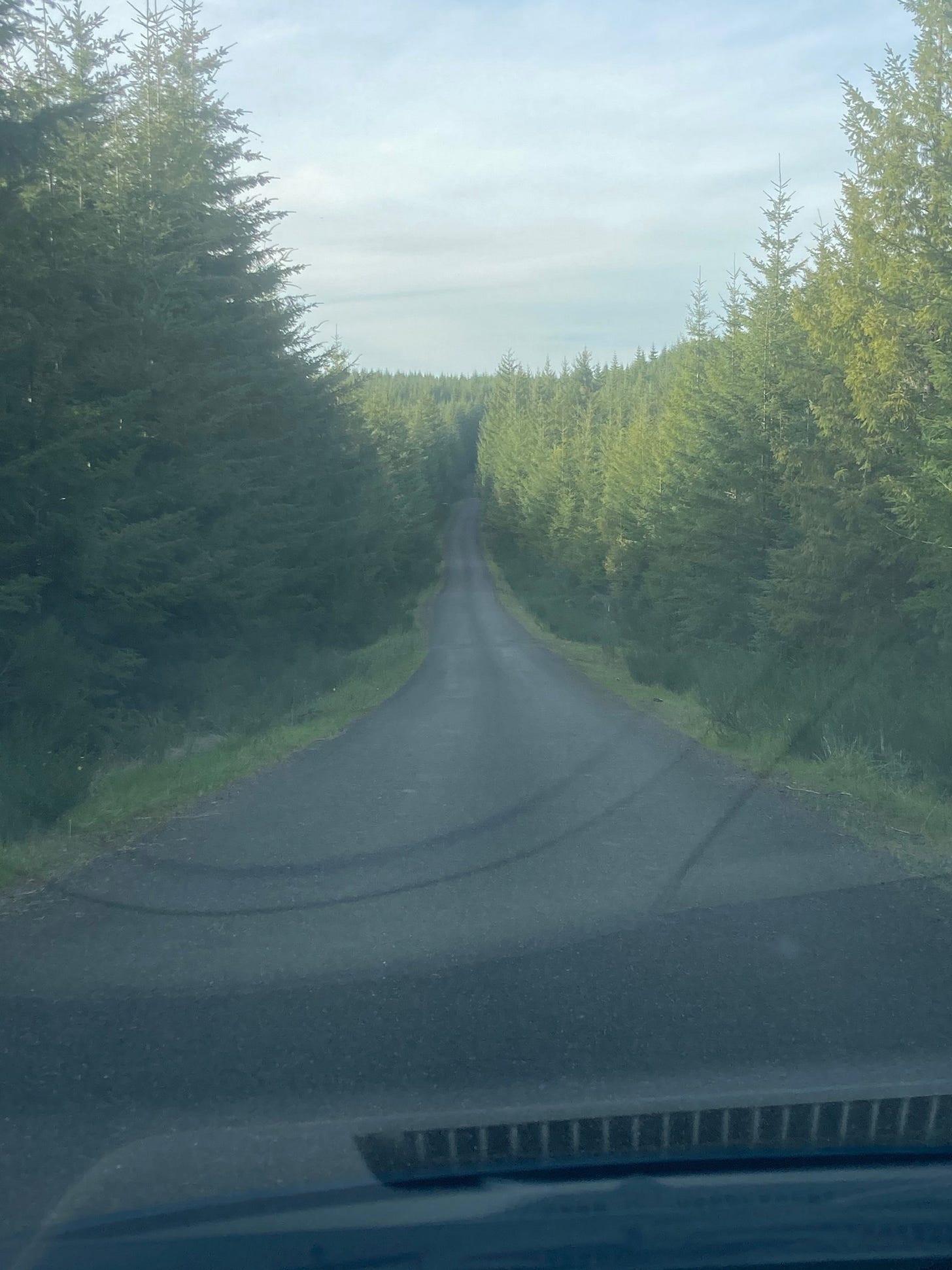 find your own path to wild wisdom find your own path to wild wisdom