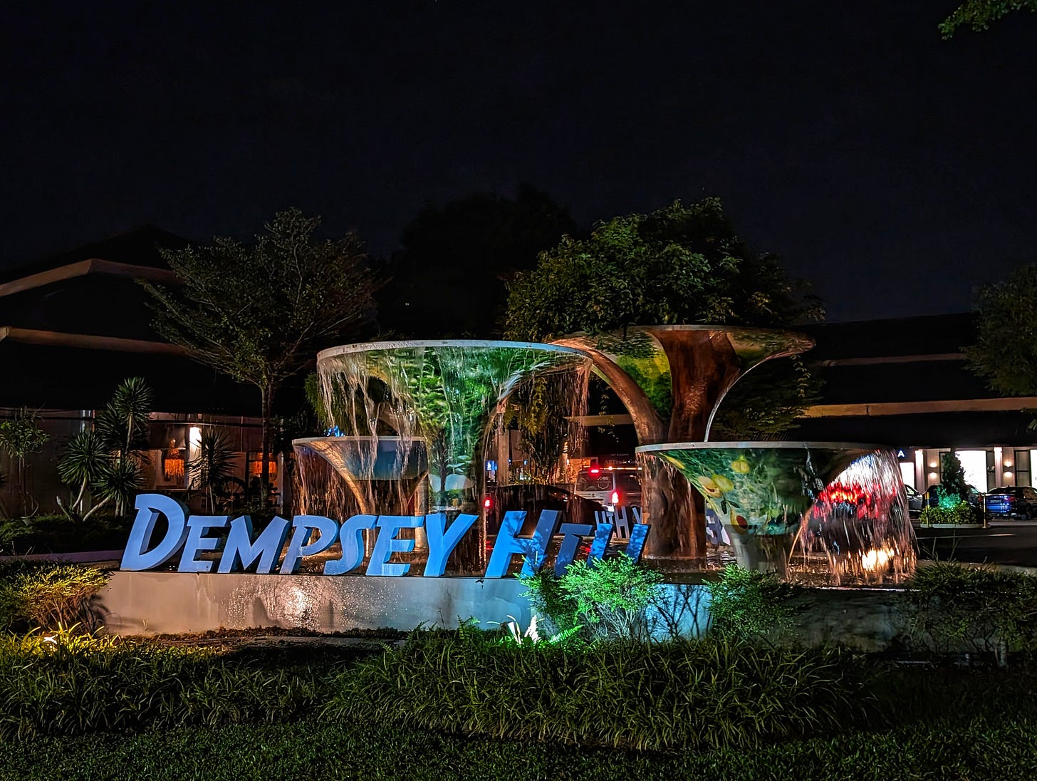 Night at Dempsey Hill
