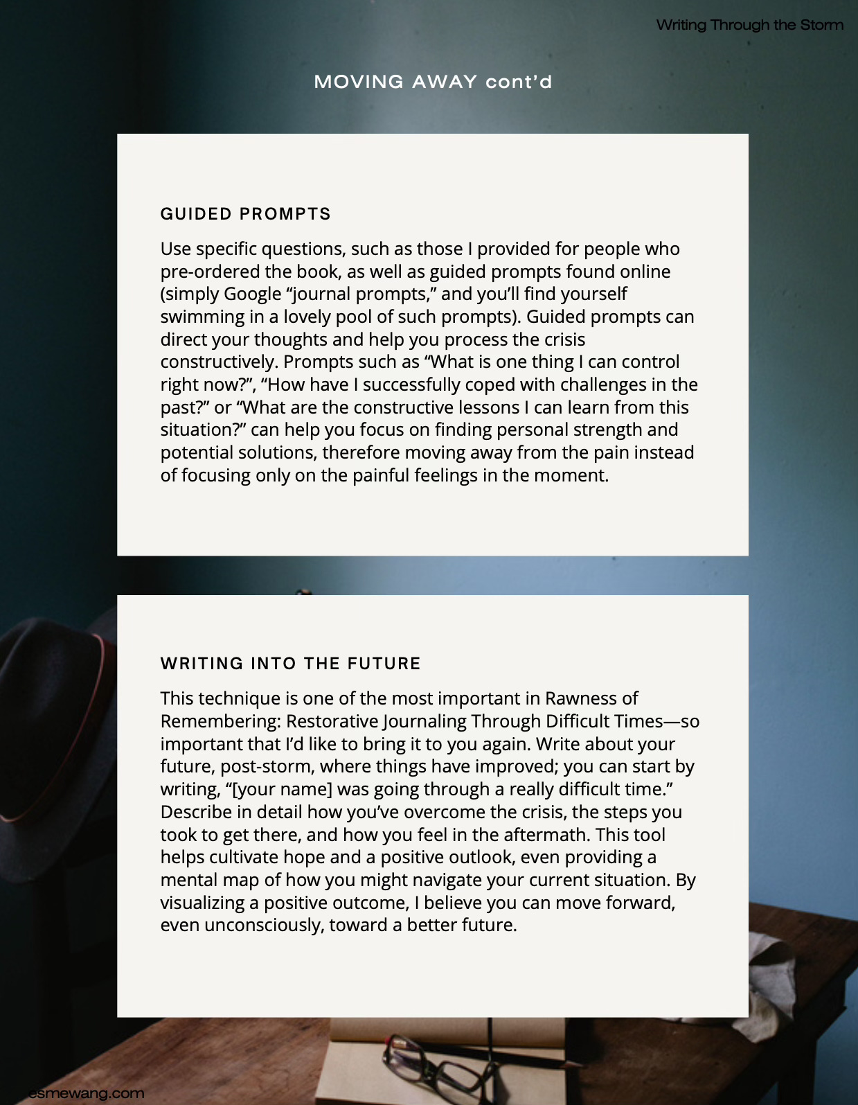 same page fo book with guided promps and writing into the future