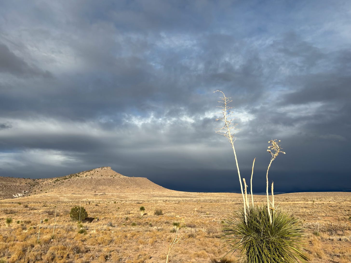 desert landscape with stormy sky and mountain