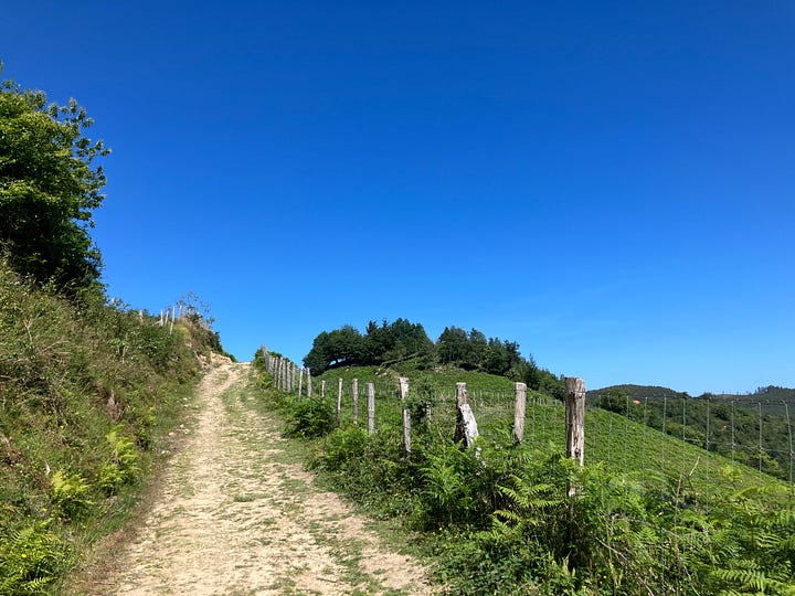 a cobblestone trail leading up a hill through grass and a dorm room with four cots in a hostel