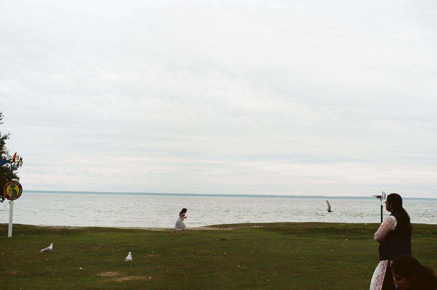A child in a dress chases a seagull across a grassy field on the edge of Lake Michigan