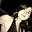 Tania Veltchev's avatar