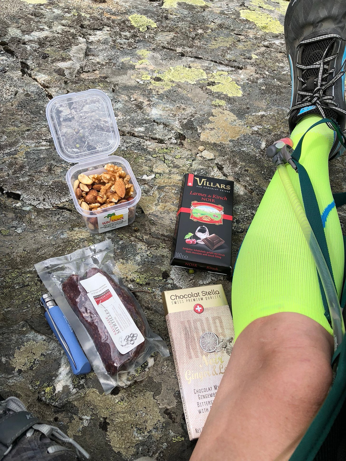 We stopped to eat the snacks we’d bought in Zinal.