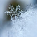 Come costruire una lista di letture da non completare