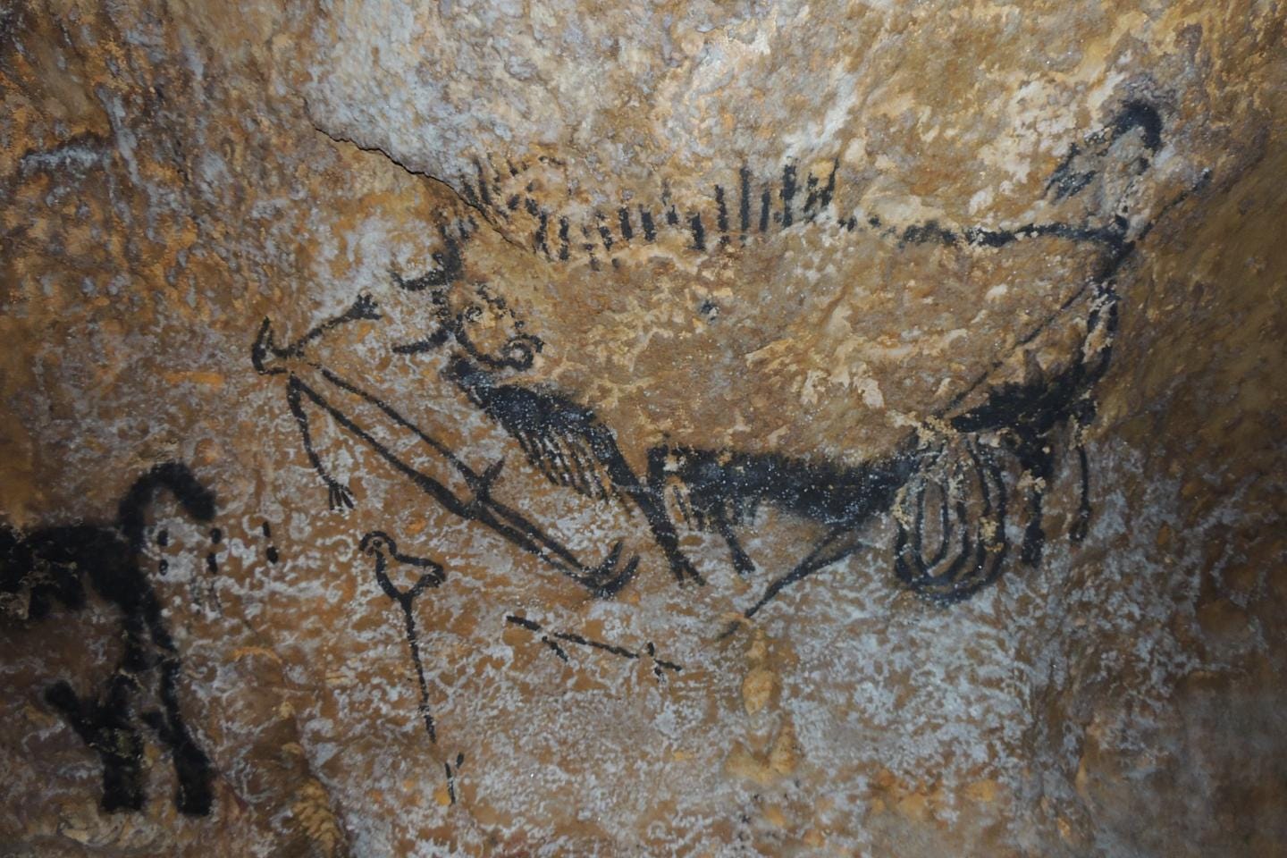 Some of the world's oldest cave paintings have revealed how ancient people had relatively advanced... [+] knowledge of astronomy. Animal symbols represent star constellations in the night sky, and are used to mark dates and events such as comet strikes, analysis from the University of Edinburgh suggests. (Credit: Alistair Coombs)