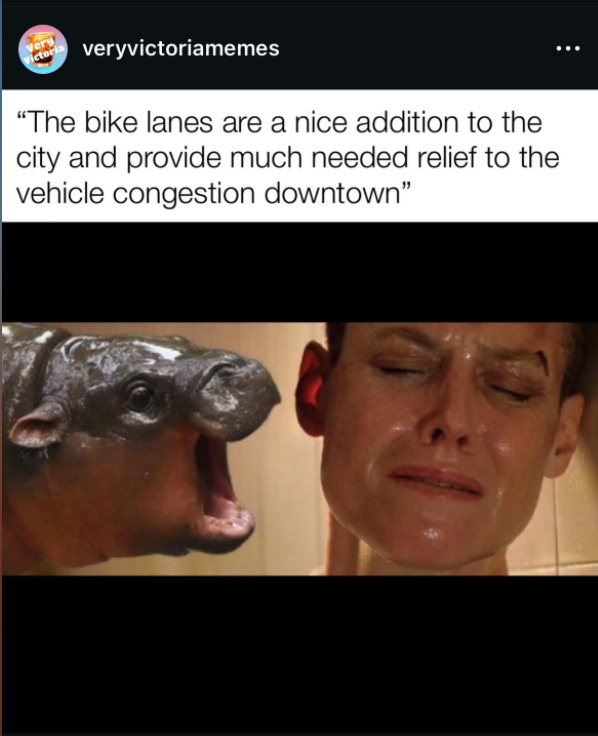 moo deng bike lane meme moo deng bike lane meme