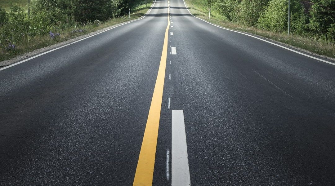 road between trees