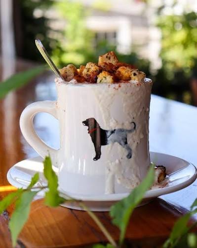 Black Dog Tavern's Quahog Chowder