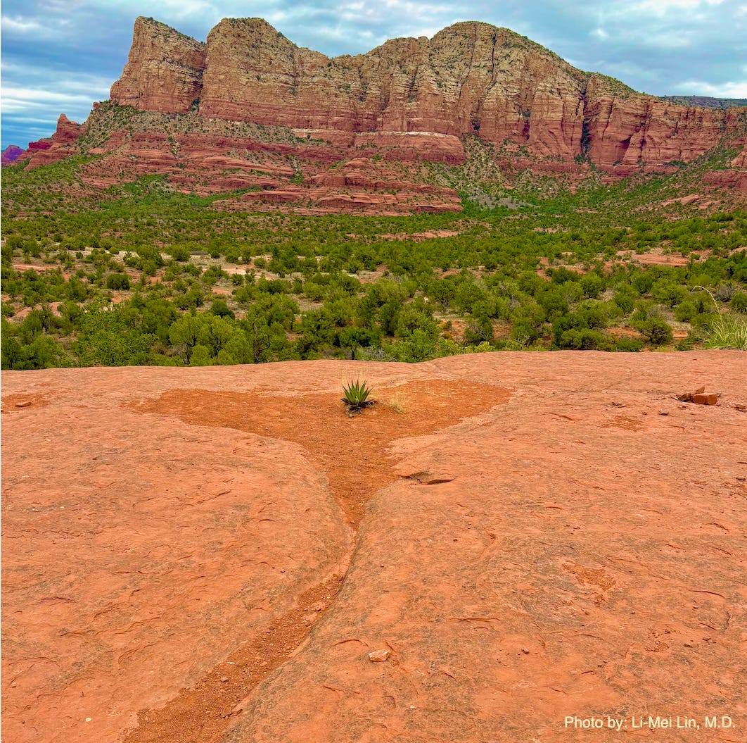 Sedona, Arizona by Li-Mei Lin, M.D. Sedona, Arizona by Li-Mei Lin, M.D.