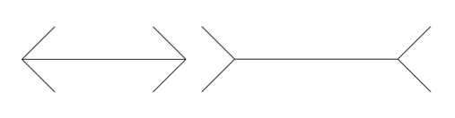 Müller-Lyer illusion