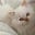 Latte's avatar