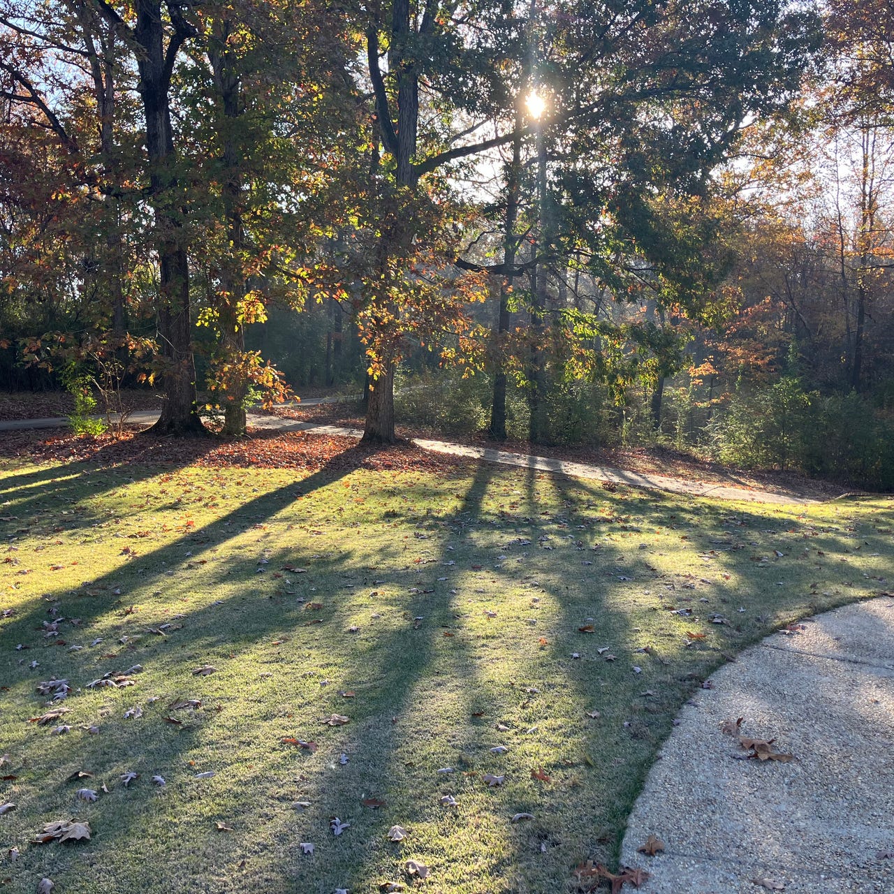 Notes from Beth-Elim