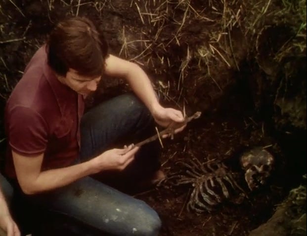 Stigma: Folk Horror #5 |