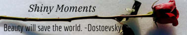 Shiny Moments