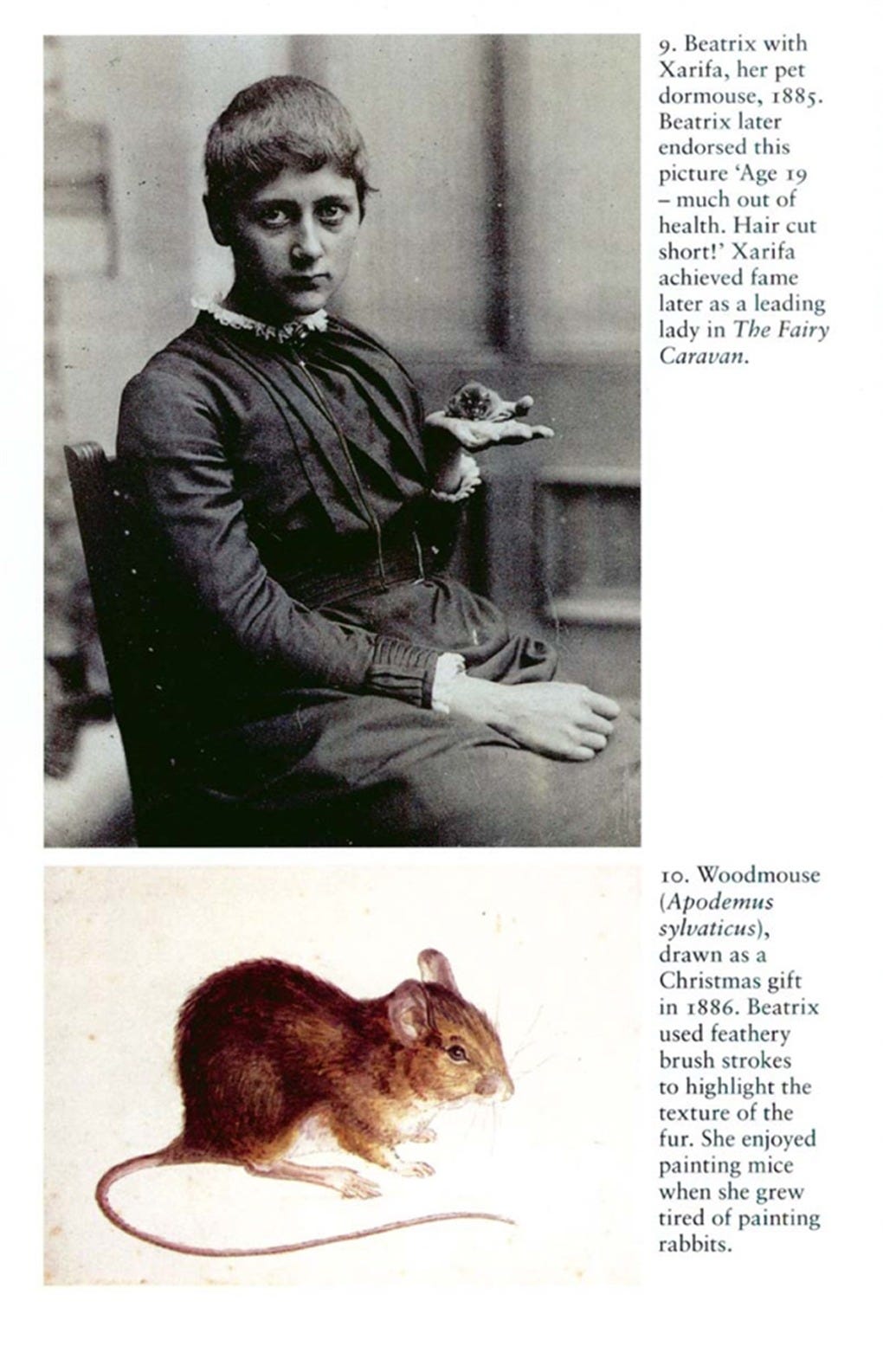 Interior book image for Beatrix Potter
