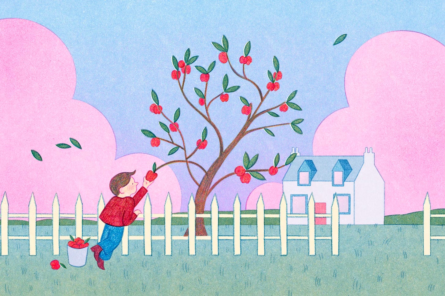 An illustration in the style of a children's book, of a little boy picking an apple off a tree.