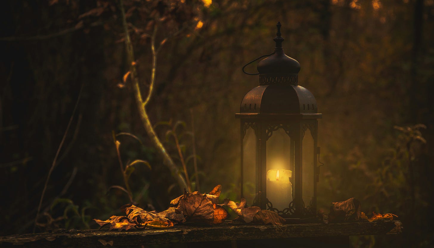 A lit lantern sits on a ledge in a dimly lit forest, surrounded by orange leaves.