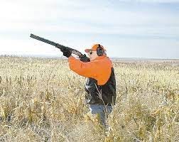 Cheney heads to Dutchess County to hunt
