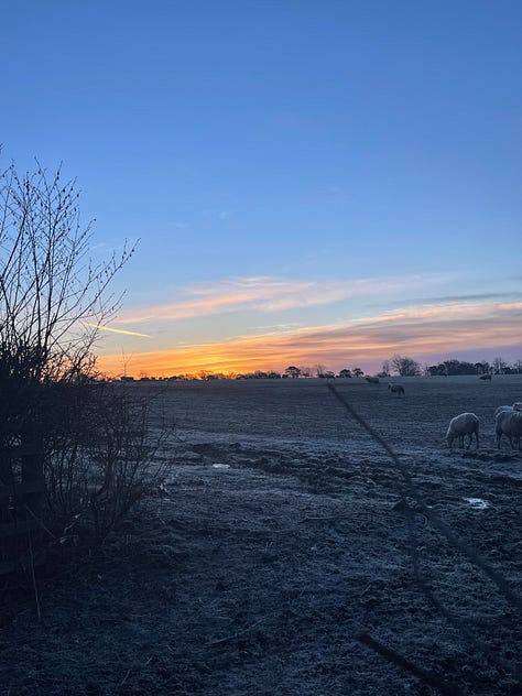 sunrise over frosty fields