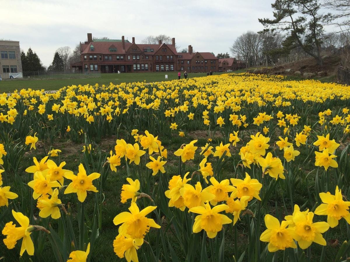 What’s Up this weekend in Newport: April 6 – 9