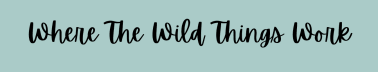 Where The Wild Things Work