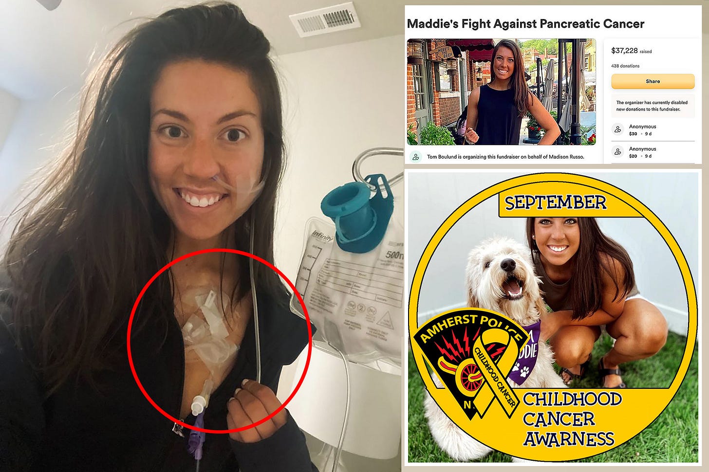 TikToker charged in GoFundMe cancer scam after documenting 'battle'