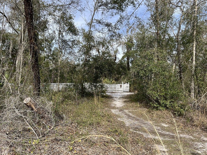 Manatee County Expands Rye Preserve and Crane Park with Environmental Land Purchases