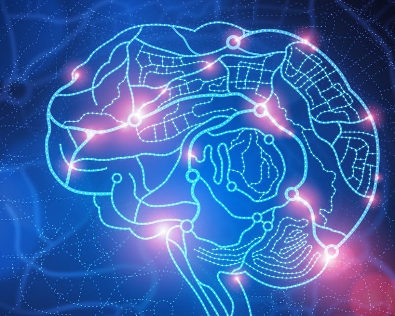 Brain bugs
