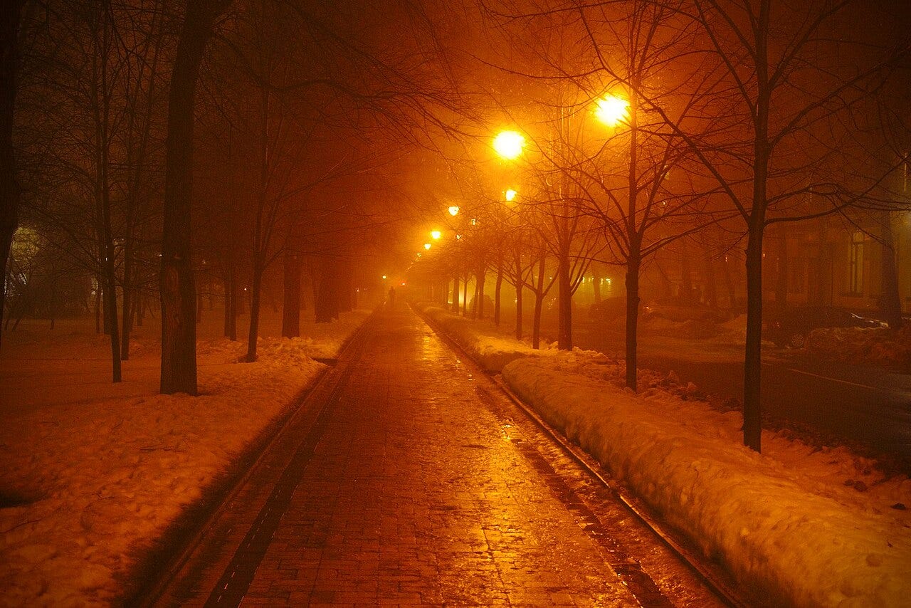 A foggy winter night on a tree-lined street in Donetsk, lit by orange streetlights A foggy winter night on a tree-lined street in Donetsk, lit by orange streetlights