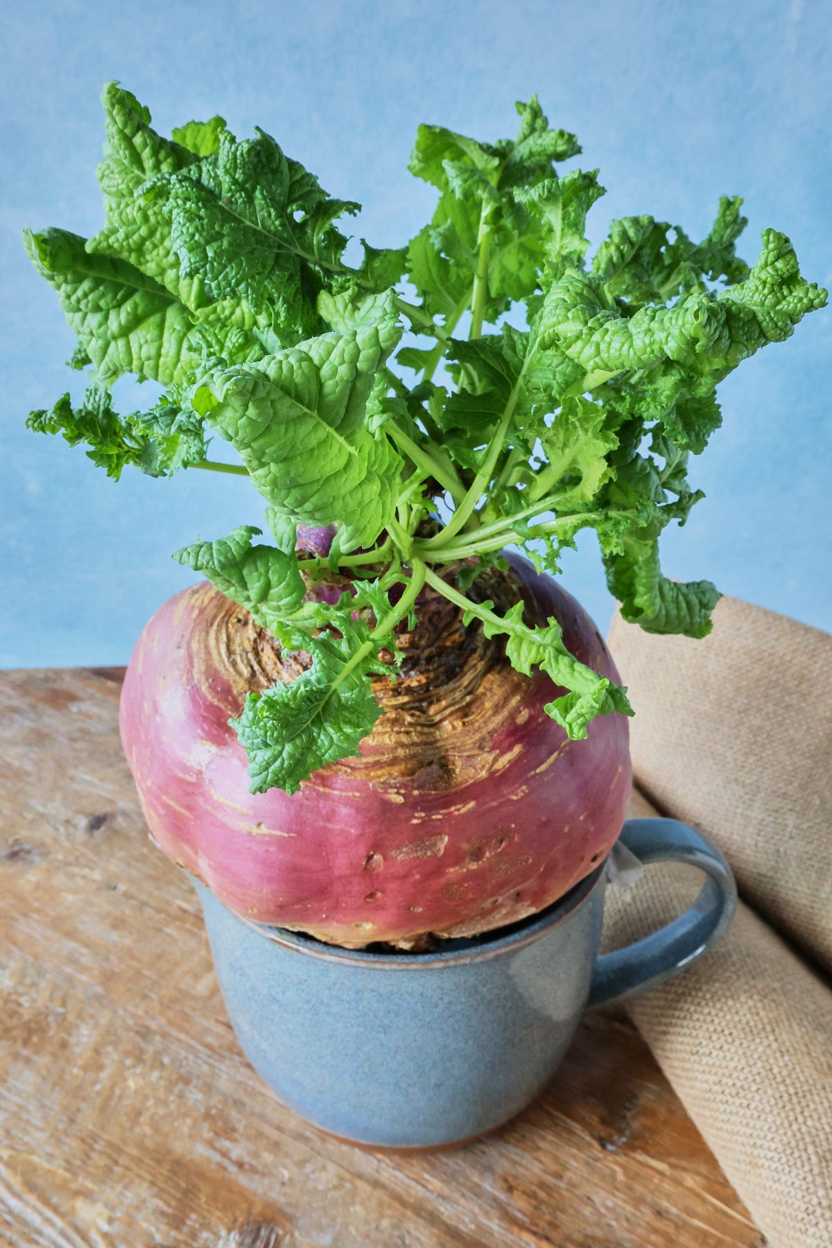 a rutabaga root and plant atop a mixing bowl