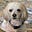 Renee Sommers's avatar